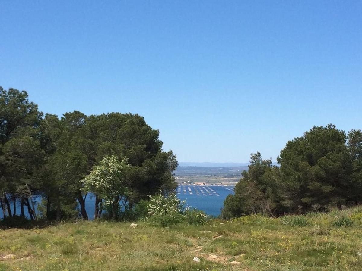 3P Climatise Avec Parking, Piscine, Proche Plage Et Commerces A Sete - Fr-1-338-497 Sète Exterior foto